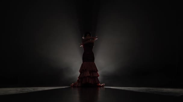 Woman is dancing flamenco dance . Light from behind. Smoke background — Stock Video