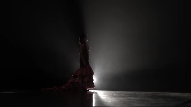 Holka tančí flamenco tance. Světlo zezadu. Kouřové pozadí — Stock video