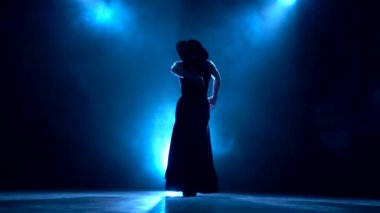 Kadın Arjantinli Flamenko kışkırtıcı bir dans. Arkadan llight. Duman arka plan. Siluet