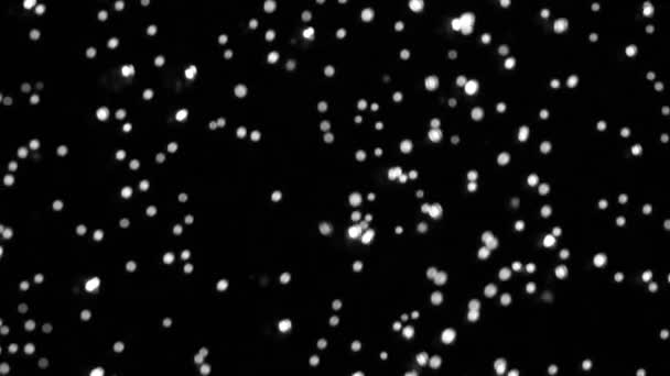 Underwater bubbles isolated on black. Slow motion. — Stock Video