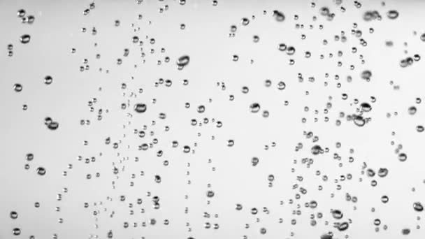 Närbild av luftbubblor i vattnet isoleras på vit bakgrund. Slow motion — Stockvideo