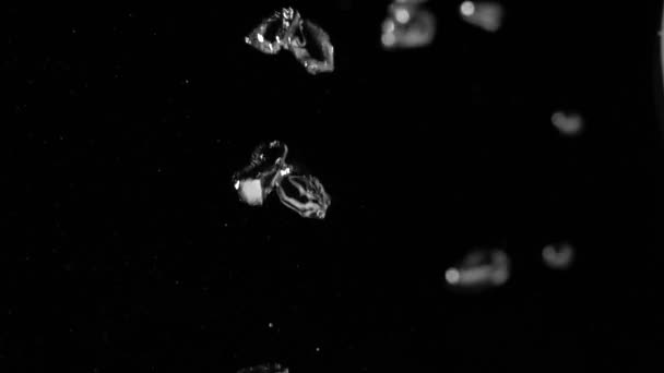 Vzduchové bubliny pod vodou na černém pozadí. Zpomalený pohyb. — Stock video