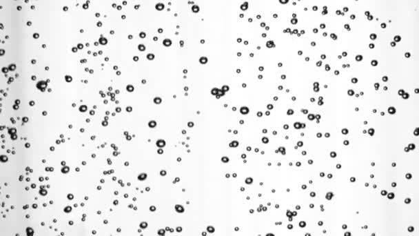 Elszigetelt fehér háttér a víz buborékok. Lassú mozgás. — Stock videók