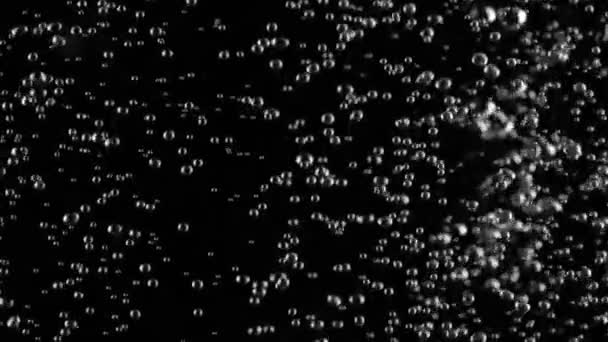 Close up of air bubbles in the underwaterisolated on black background. Slow motion — Stock Video