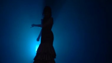 Kadın flamenko hareketleri dans ediyor. Arkadan ışık. Mavi renkli duman. Ağır çekim