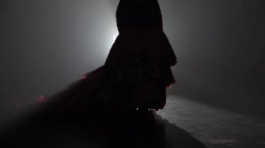 Profesyonel dansçı müzik beat için taşır. Arkadan ışık. Duman arka plan. Ağır çekim. Siluet