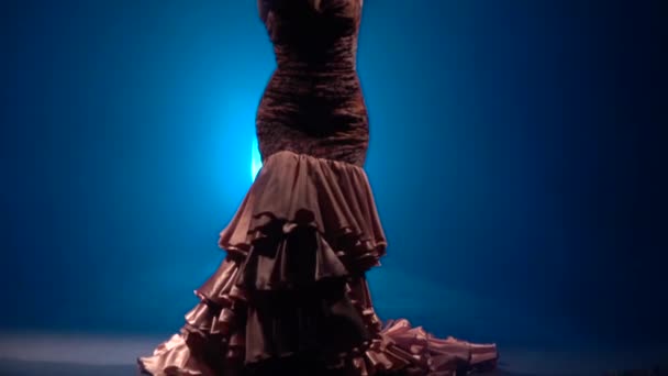 女孩跳舞的弗拉门戈运动 她有一个长裙与郁郁葱葱的尾巴 从后面的光 烟雾蓝色背景 慢动作 — 图库视频影像