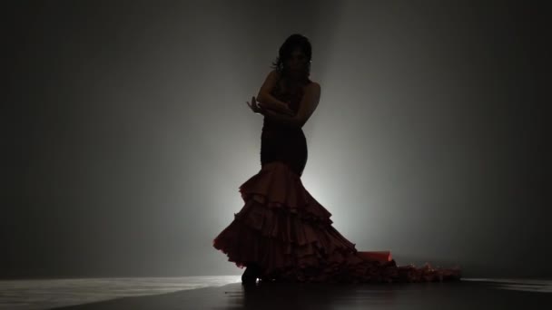 Chica está bailando con castañuelas y su pierna está tirando de la cola del vestido. Luz por detrás. Fondo de humo. Movimiento lento — Vídeo de stock