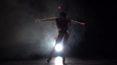 Profesyonel dansçı striptizci. Siyah duman arka plan. Ağır çekim