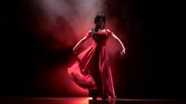 Dansçı Arjantinli Flamenko kışkırtıcı bir dans. Arkadan llight. Duman arka plan. Ağır çekim