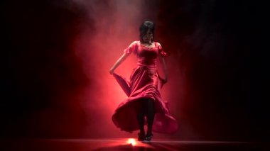 Dansçı Arjantinli Flamenko kışkırtıcı bir dans. Arkadan llight. Duman arka plan. Ağır çekim