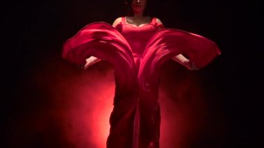 Dansçı Arjantinli Flamenko kışkırtıcı bir dans. Arkadan llight. Duman arka plan. Ağır çekim