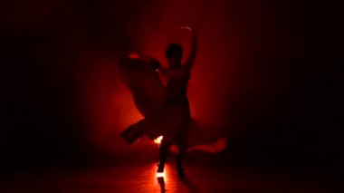 Arjantin Flamenko dansçısı. Kırmızı arka plan. Siluet. Ağır çekim