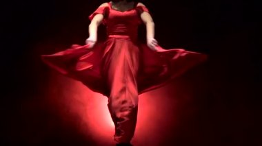 Arjantin Flamenko dansı kadın. Arkadan llight. Duman arka plan. Ağır çekim