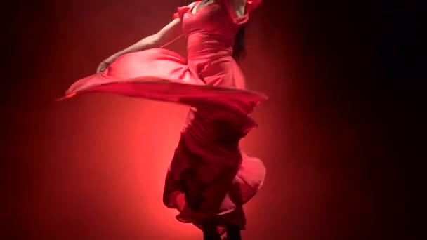 Baile femenino de flamenco argentino. Ligero por detrás. Fondo de humo. Movimiento lento — Vídeo de stock