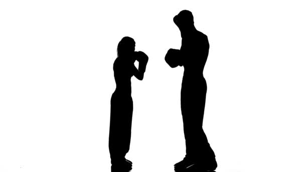 Development of straight kicks kickboxing on boxing paws. Silhouette. White background — Stock Video