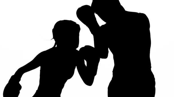 Guy with a girl preparing for a kickboxing competition. Silhouette. White background — Stock Video