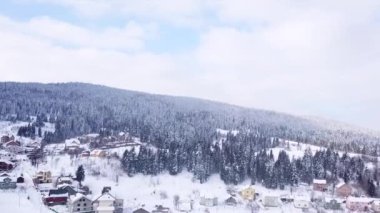 Kış orman ve binalar. Yukarıdan görüntüleyin. Havadan görünümü