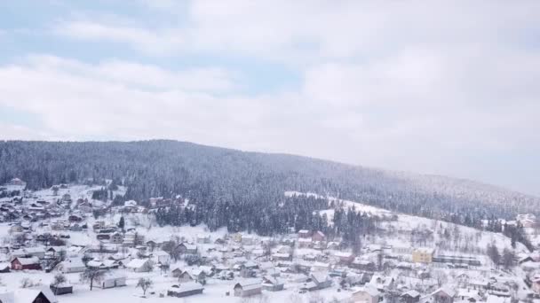 Winter forest en gebouwen. Bekijk van bovenaf. Luchtfoto — Stockvideo