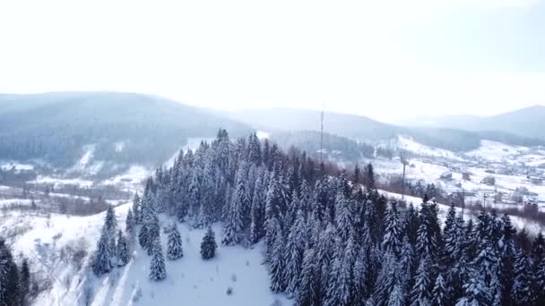 Winter-dorp in een naaldhout bos. Luchtfoto — Stockvideo