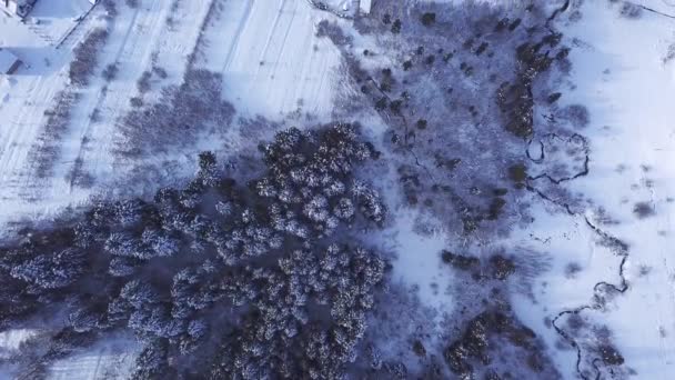 Winter forest en gebouwen. Bekijk van bovenaf. Luchtfoto — Stockvideo