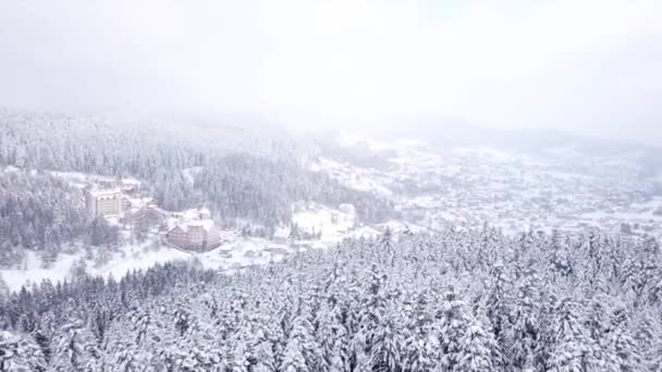 Dorp met alle gebouwen bedekt met sneeuw. Luchtfoto — Stockvideo