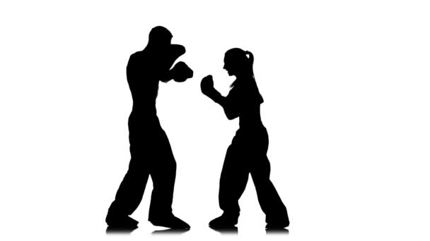 Travailler à partir de coups directs de kickboxing sur pattes de boxe. Silhouette. Fond blanc — Video