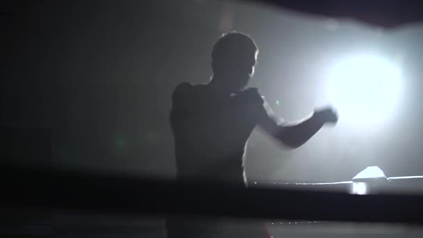 Guy entrena en el ring un espacio oscuro que ilumina un foco. Silueta. Luz por detrás — Vídeos de Stock