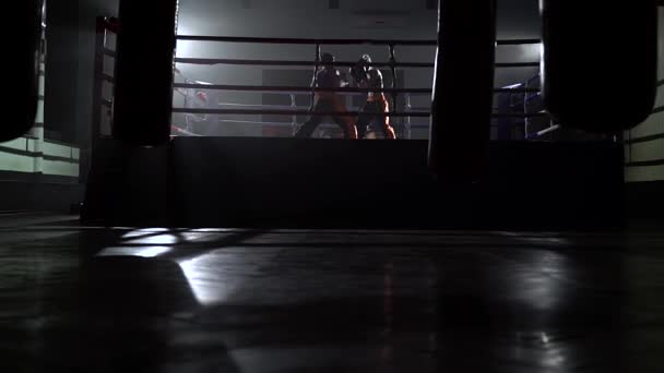 Deux gars concourent dans un ring sportif — Video