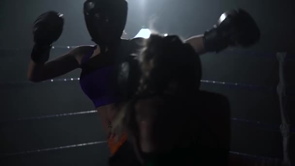 Sparring dans le ring entre les filles — Video