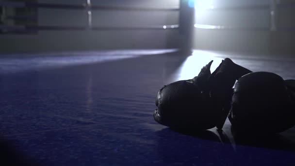 Boxning handskar ligga på golvet i ringen. Närbild — Stockvideo