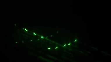 Yeşil ışık lazer gelen su düşüyor