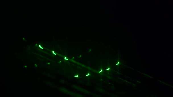 Luce verde dal laser cade sull'acqua — Video Stock