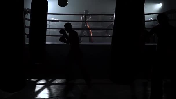 Kickboxers preparándose para las competiciones. Movimiento lento — Vídeo de stock