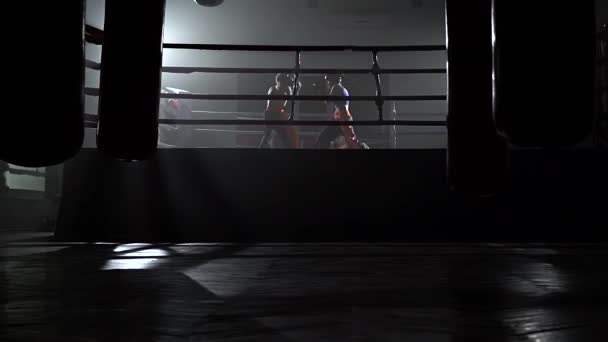 Dva chlapi v ringu bojovat. Zpomalený pohyb — Stock video
