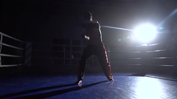 Guy entrena en el ring, el espacio oscuro está iluminado por un reflector. Silueta. Luz por detrás — Vídeos de Stock
