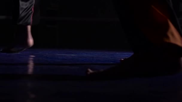어둠 속에서 링에 4 개의 다리입니다. 슬로우 모션입니다. 클로즈업 — 비디오