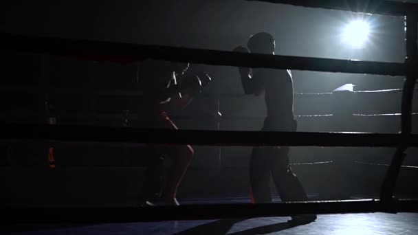 Chicos preparándose para una competencia de kickboxing. Silueta. Movimiento lento — Vídeo de stock