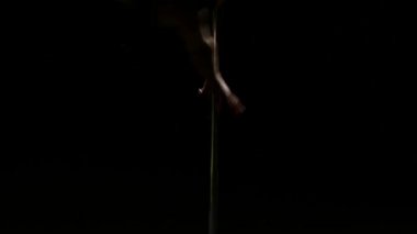 Pilon üzerinde dans kız güçlü ve zarif. Siyah duman arka plan. Yakın çekim