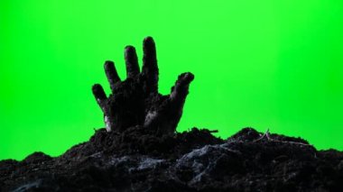 Zombi el yere mezardan çıkan. Cadılar Bayramı kavramı. Yeşil ekran