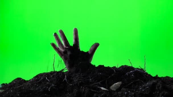 Zombie woman hand emerging from the ground grave. Halloween concept. Green screen. 002 — Stock Video