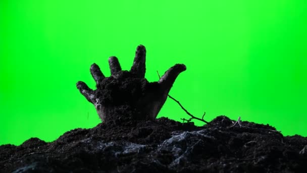 Рука зомби поднимается из земли. Зеленый экран. 007 — стоковое видео