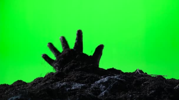 Zombie hand emerging from the ground grave. Halloween concept. Green screen. 008 — Stock Video