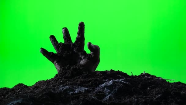 Рука зомби выходит из могилы. Концепция Хэллоуина. Зеленый экран. 009 — стоковое видео