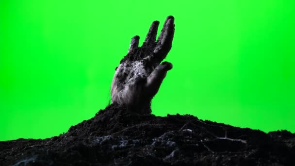 Zombie hand emerging from the ground grave. Halloween concept. Green screen. 012 — Stock Video