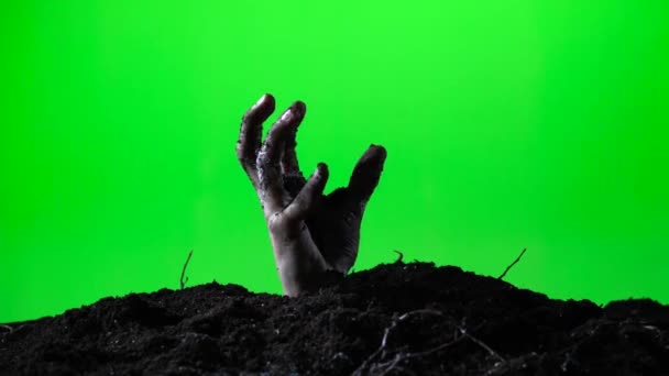 Zombie hand emerging from the ground grave. Halloween concept. Green screen. 016 — Stock Video