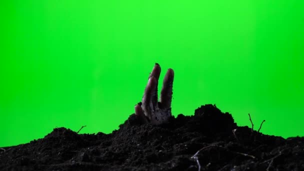 地上墓から出てきたゾンビの手。ハロウィンのコンセプトです。緑色の画面。017 — ストック動画