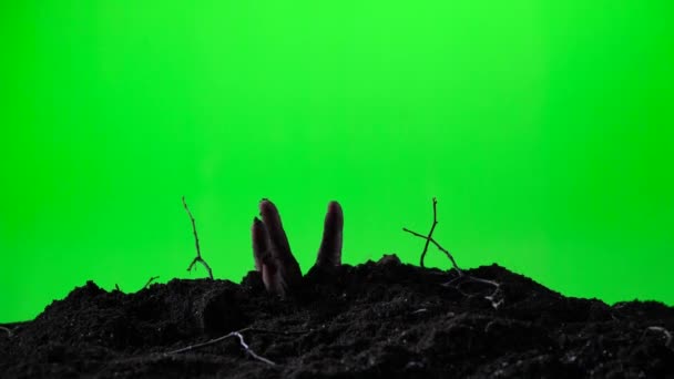 Zombie hand emerging from the ground grave. Halloween concept. Green screen. 018 — Stock Video