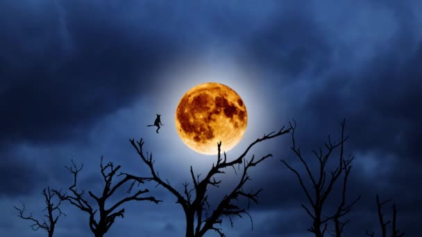 Silueta de una joven bruja volando sobre un palo de escoba sobre el fondo de la luna naranja. Halloween. Sobre árboles viejos — Vídeo de stock