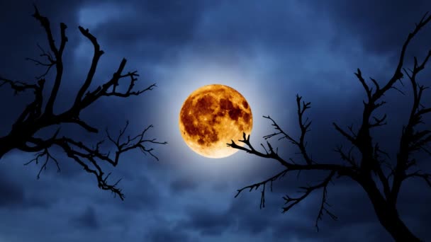 Halloween animierten Hintergrund. Silhouetten alter Bäume vor dem Hintergrund des orangen Mondes und des blauen Nachthimmels. — Stockvideo